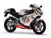 Aprilia RS125 MotoGP.jpg