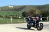 cb1300 white horse.jpg