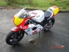 fzr 4-6 004.jpg