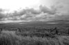 edited stornoway landscape 2.jpg