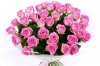 big-bunch-of-flowers-image.jpg