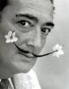 dali.jpg