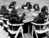 chimps-tea-party-tynwald-house-of-keys-isle-of-man.jpg