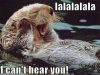 funny-pictures-beaver-cant-hear-you-1.jpg