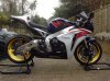 cbr2-1 gold.jpg