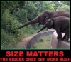 Size-matters.jpg