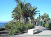 lanzarote jan 6 2013 042.jpg