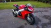 rsv4 4 reduced.jpg