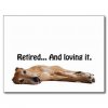 gvv_greyhound_retired_and_loving_it_postcard-rc2fba9e50b644339b34e684c3c1a4c6d_vgbaq_8byvr_324.jpg