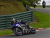 cadwell 2017.jpg