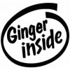 Ginger_Inside_St_4bd83b5e3d498-228x228.jpg