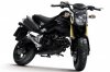 honda-msx125-2013-black.jpg