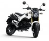 Honda+MSX+125+Mini+Moto+-+White.jpg