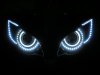 Fireblade Angel Eyes.JPG