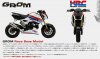 2017-honda-grom-hrc-motorcycle-race-bike-review-tn.jpg