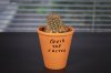 COVID the Cactus.jpg