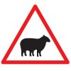 warning-sheep-road-sign.jpg