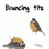 bouncing-tits-pun.gif