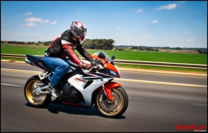 Fireblade 6