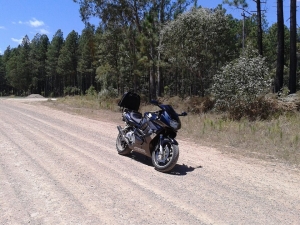 Me and my 600 riding a forestry road