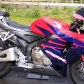 600rr