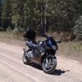 Me and my 600 riding a forestry road